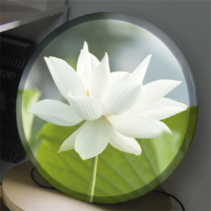 nb290-LED액자35R_하얀연꽃